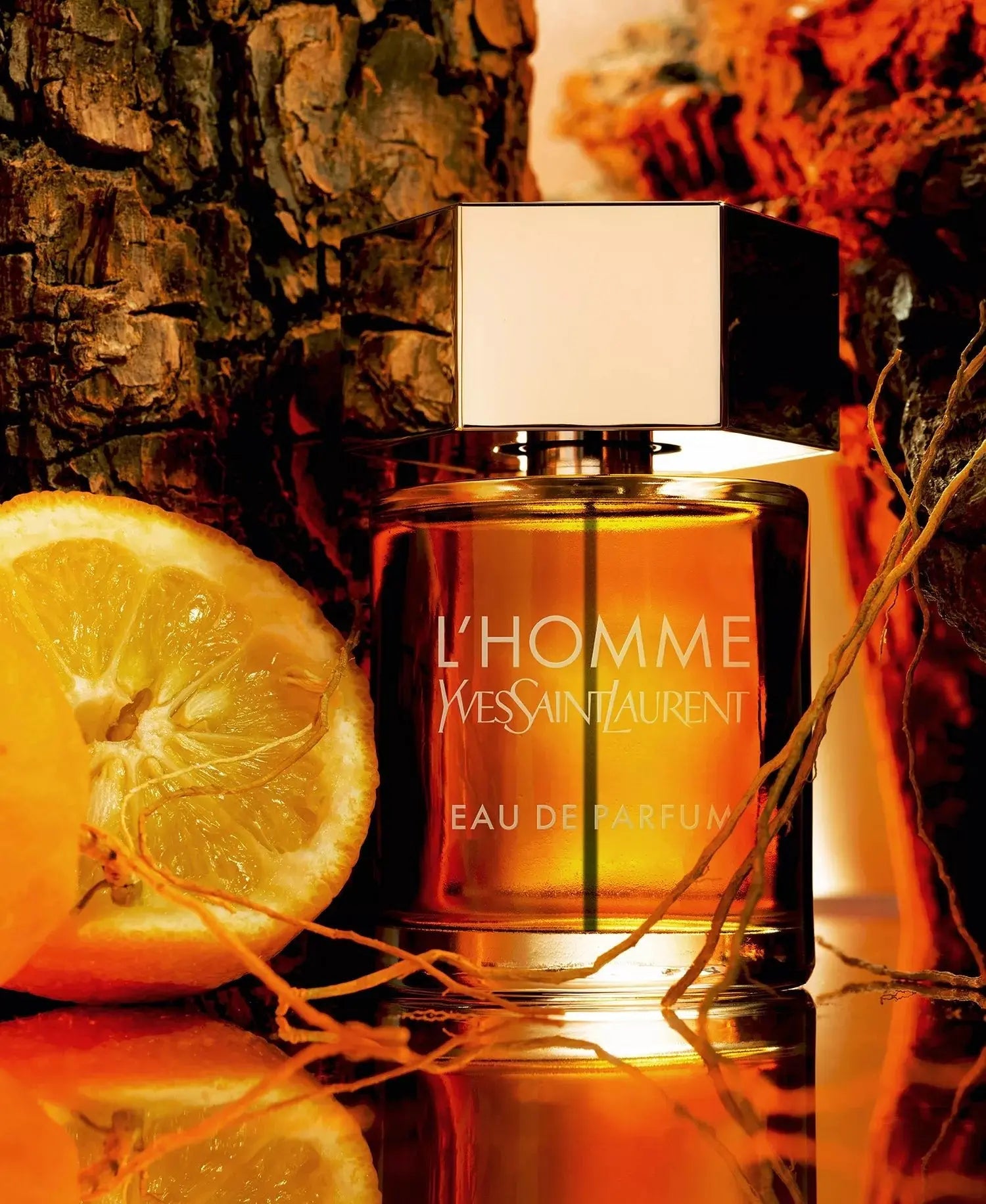 L'homme Eau de Parfum Yves Saint Laurent 100ml - MANOUNE Belly_Jewelry Earrings - Navel_Ring - Necklace - Stud - Manoune_Jewelry - Belly_Ring - Navel_Jewelry Titanium Gold_Plated