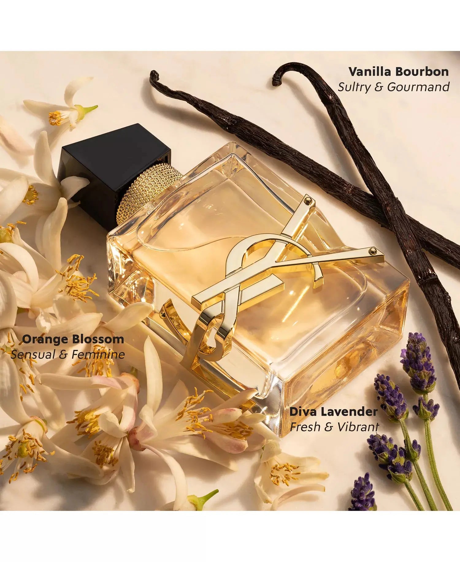 Libre Eau de Parfum YSL Spray - MANOUNE Belly_Jewelry Earrings - Navel_Ring - Necklace - Stud - Manoune_Jewelry - Belly_Ring - Navel_Jewelry Titanium Gold_Plated