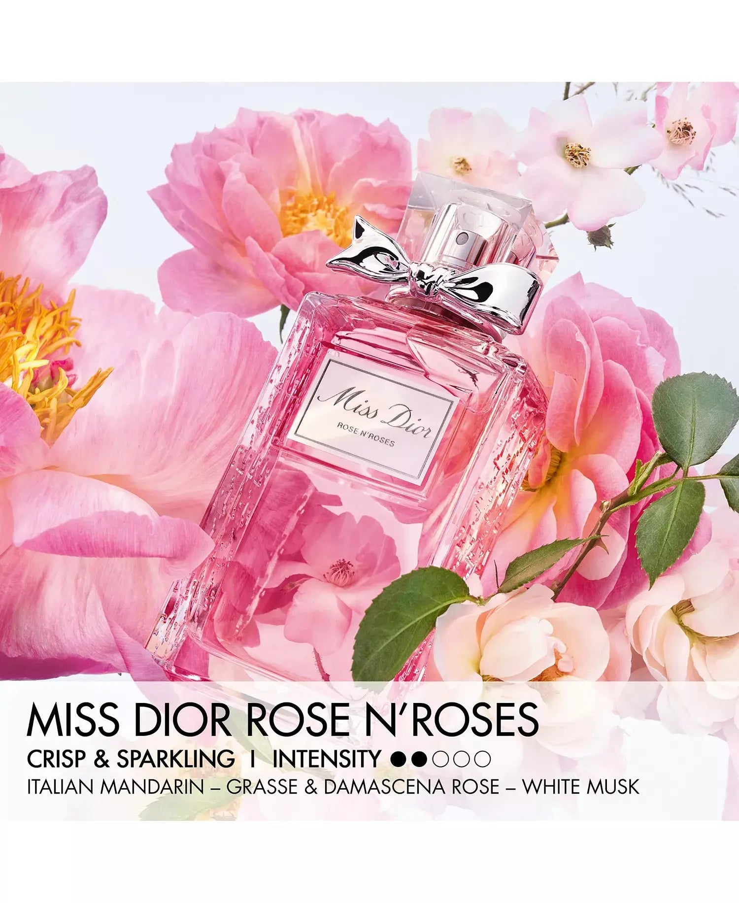 Miss Dior Rose N'Roses Dior for women 100ML - MANOUNE Belly_Jewelry Earrings - Navel_Ring - Necklace - Stud - Manoune_Jewelry - Belly_Ring - Navel_Jewelry Titanium Gold_Plated