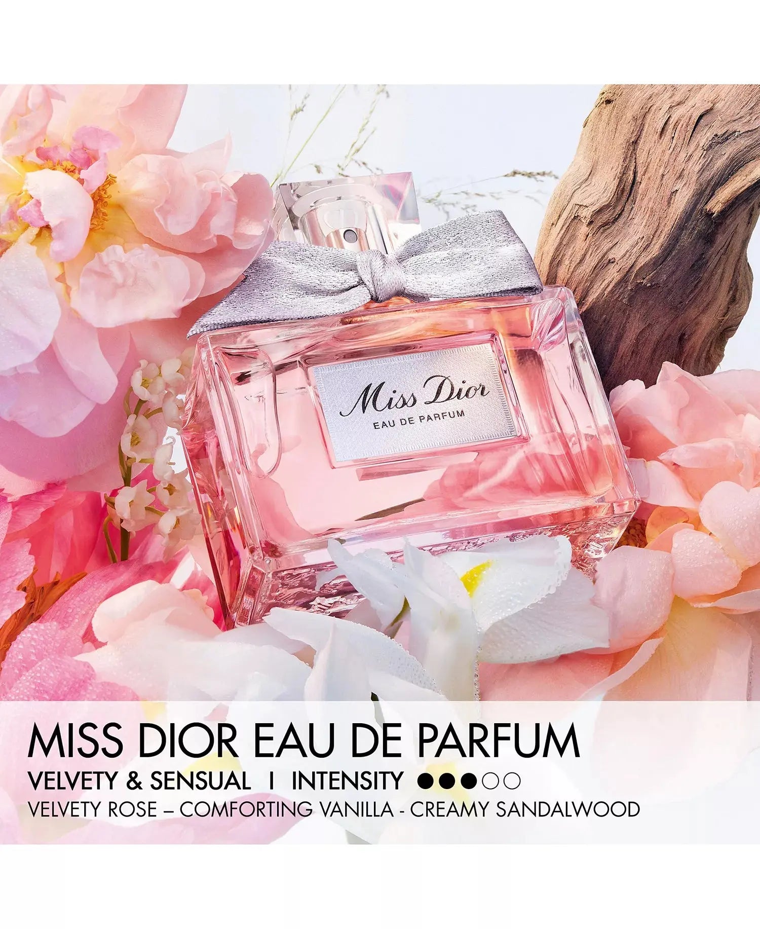 Miss Dior Eau de Parfum Dior 100ML - MANOUNE Belly_Jewelry Earrings - Navel_Ring - Necklace - Stud - Manoune_Jewelry - Belly_Ring - Navel_Jewelry Titanium Gold_Plated