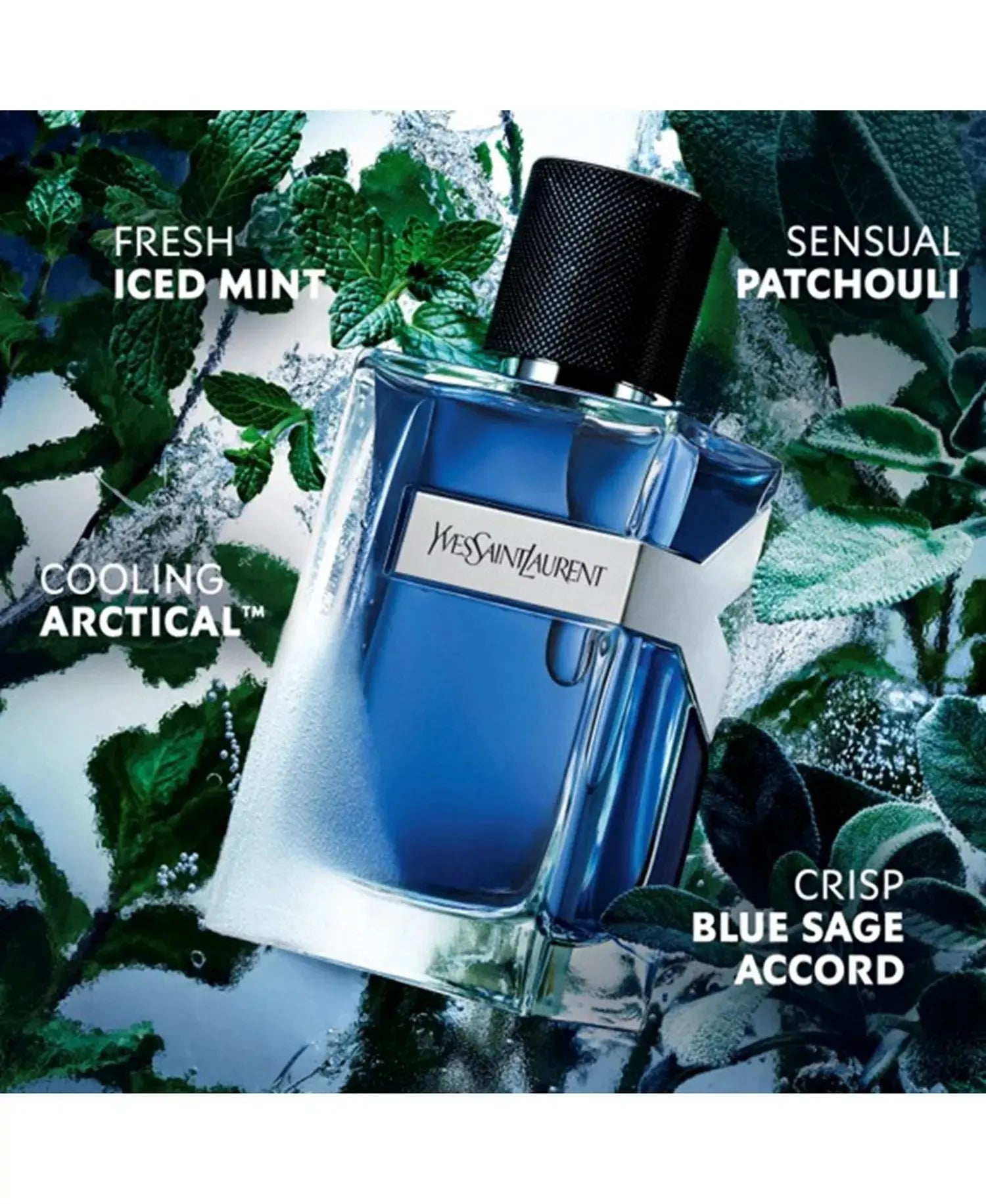 Men's Y Iced Cologne Eau de Toilette Intense 100ml - MANOUNE Belly_Jewelry Earrings - Navel_Ring - Necklace - Stud - Manoune_Jewelry - Belly_Ring - Navel_Jewelry Titanium Gold_Plated