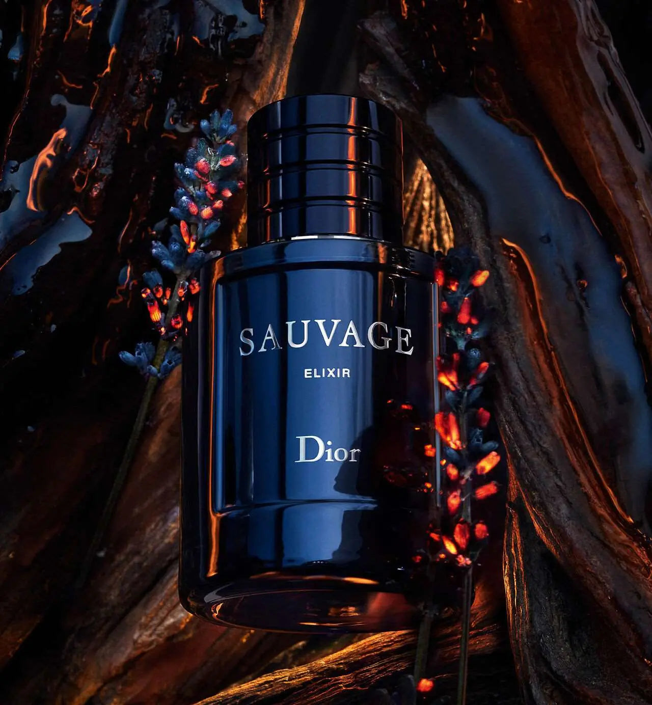 Dior Sauvage Elixir 100ml - MANOUNE Belly_Jewelry Earrings - Navel_Ring - Necklace - Stud - Manoune_Jewelry - Belly_Ring - Navel_Jewelry Titanium Gold_Plated