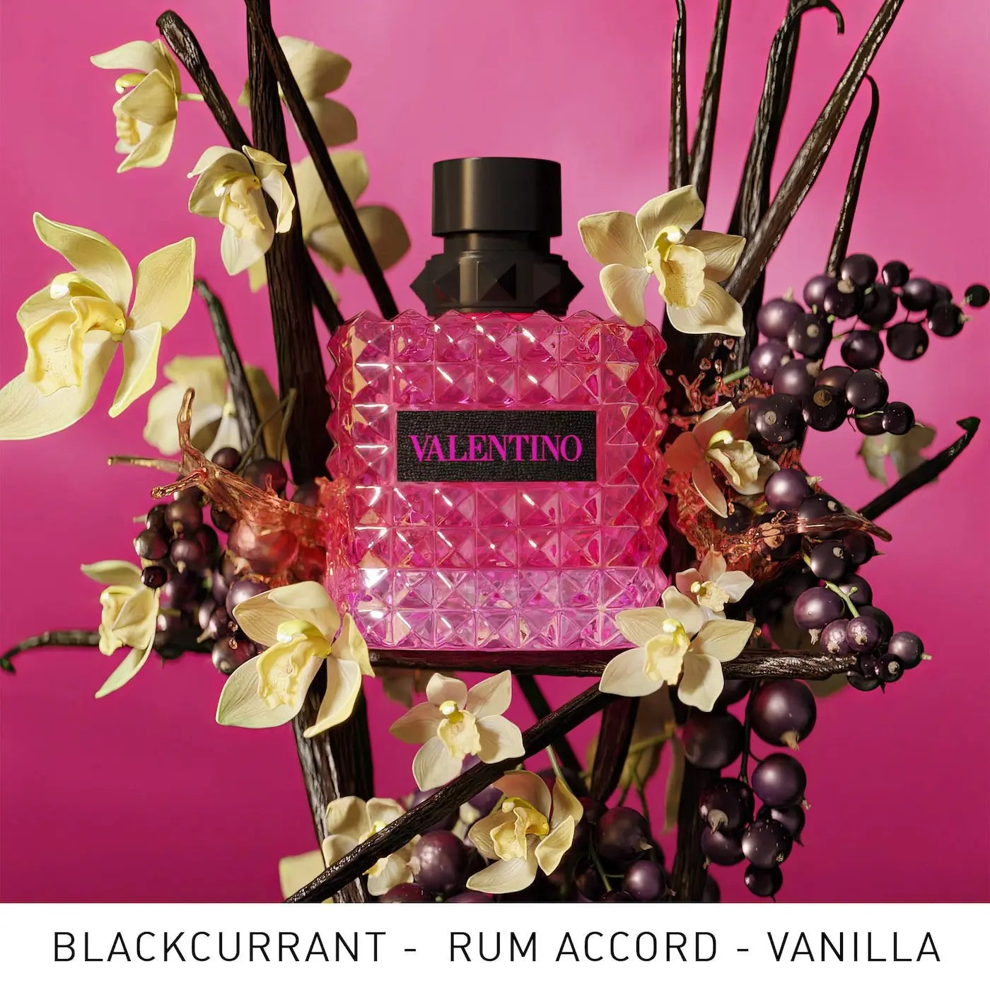 Donna Born in Roma Extradose Parfum with Vanilla & Blackcurrant 100ml - MANOUNE Belly_Jewelry Earrings - Navel_Ring - Necklace - Stud - Manoune_Jewelry - Belly_Ring - Navel_Jewelry Titanium Gold_Plated